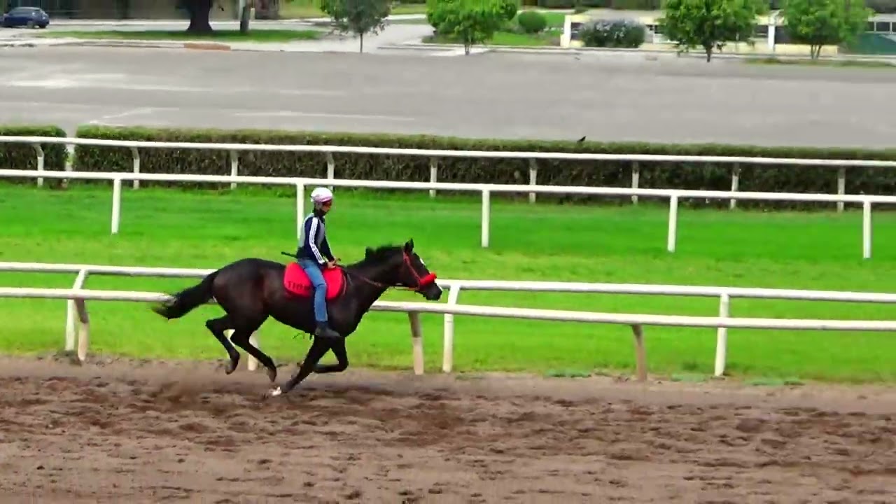 Bartolome (Bay Of Plenty) H. Rancho Fatima 11.02.26