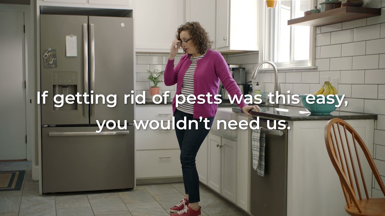 Stop Pest Infestations (for Good) with Excel Pest Services