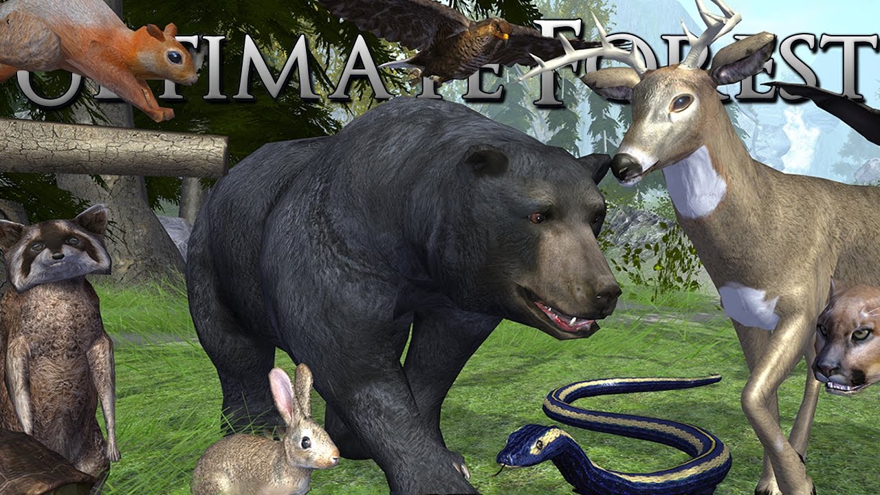 The Many Beasts of the Forest!! Bears, Bats, Cougars, Snakes, and More!! • Ultimate Forest Simulator