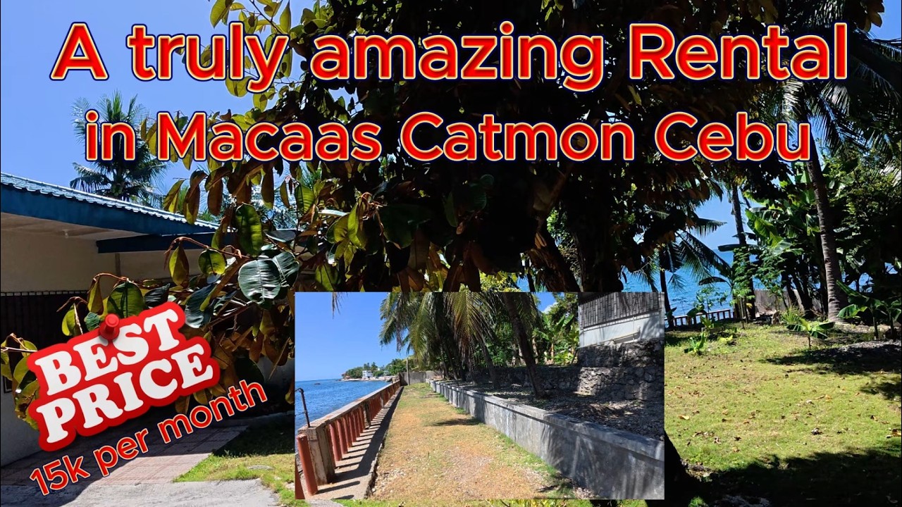 Amazing place a dream retirement long term rental... a lick of paint would make this a super bargain