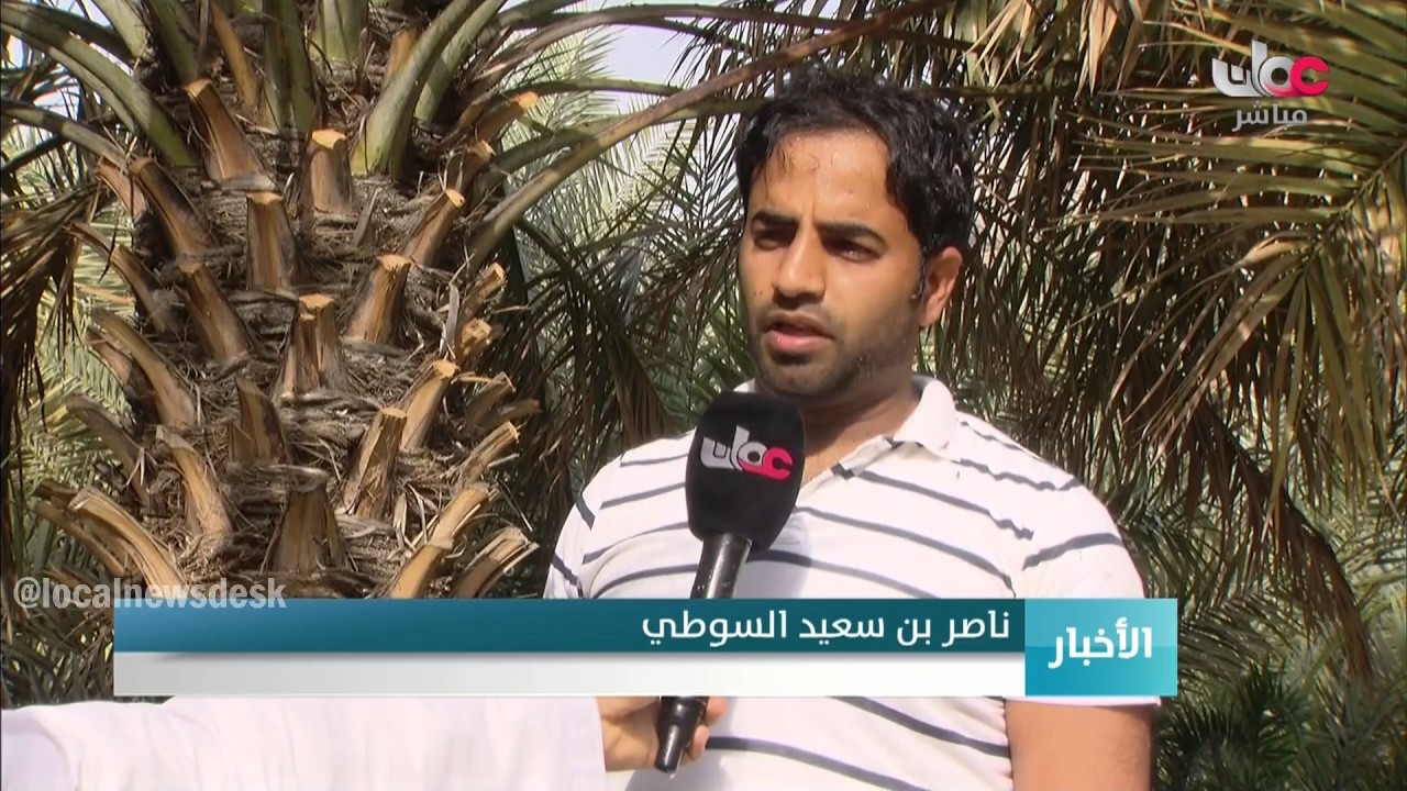 بدء موسم تلقيح النخيل بولاية دماء والطائيين