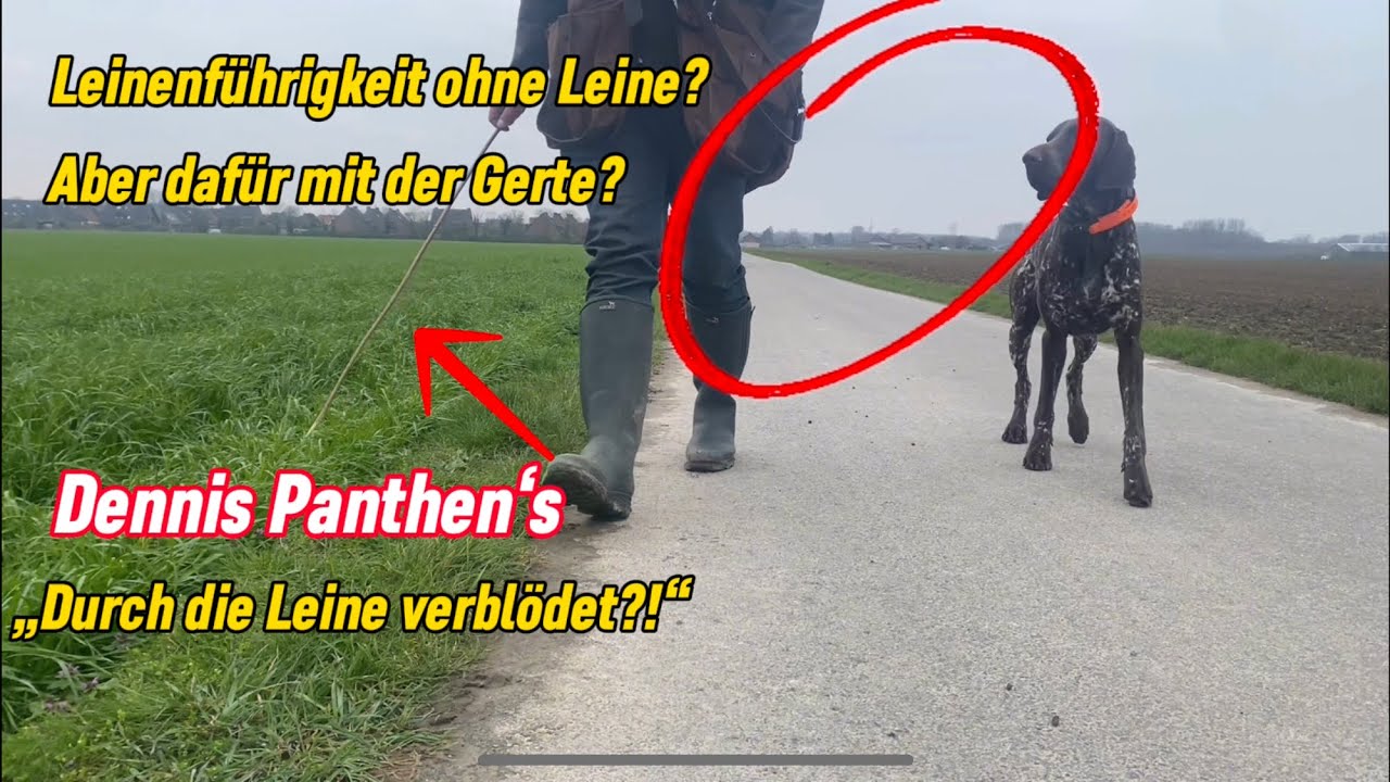 Leinenf&uuml;hrigkeit nach Dennis Panthen, klappt das bei mir?
