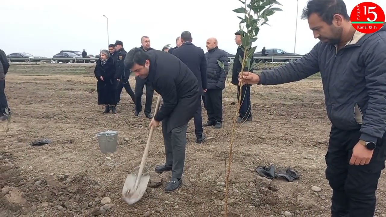 Sabirabadda  yolkənarı ərazilərdə yaşıllıq  salınması məqsədilə ağacəkmə aksiyası keçirilmişdir.