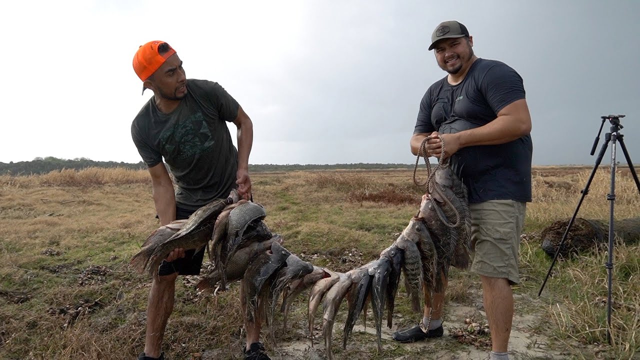 Pesca Y Cocina De Tilapias Gigantes En Florida