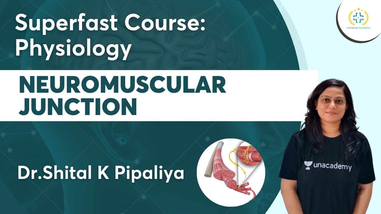 Neuromuscular Junction | Superfast Course -Physiology  | Unacademy Future Doctors | Dr.Shital