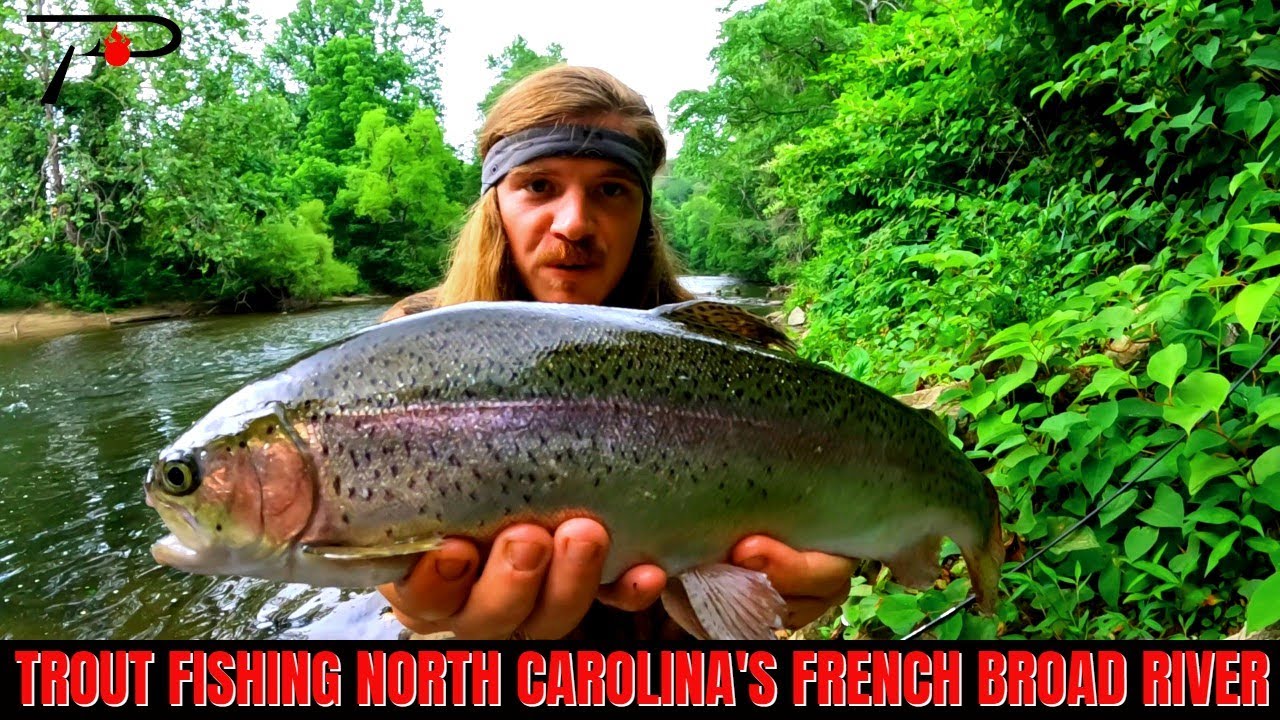 Trout Fishing North Carolina's French Broad River