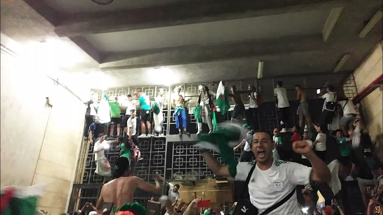 احتفالات جنونية بعد تتويج الجزائر بكأس أمم أفريقيا