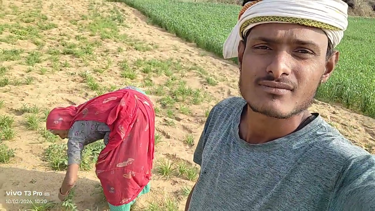 राजस्थानी ब्लॉक #viral #video #trending #reel #trending #searches #trending #Rajasthani #block   