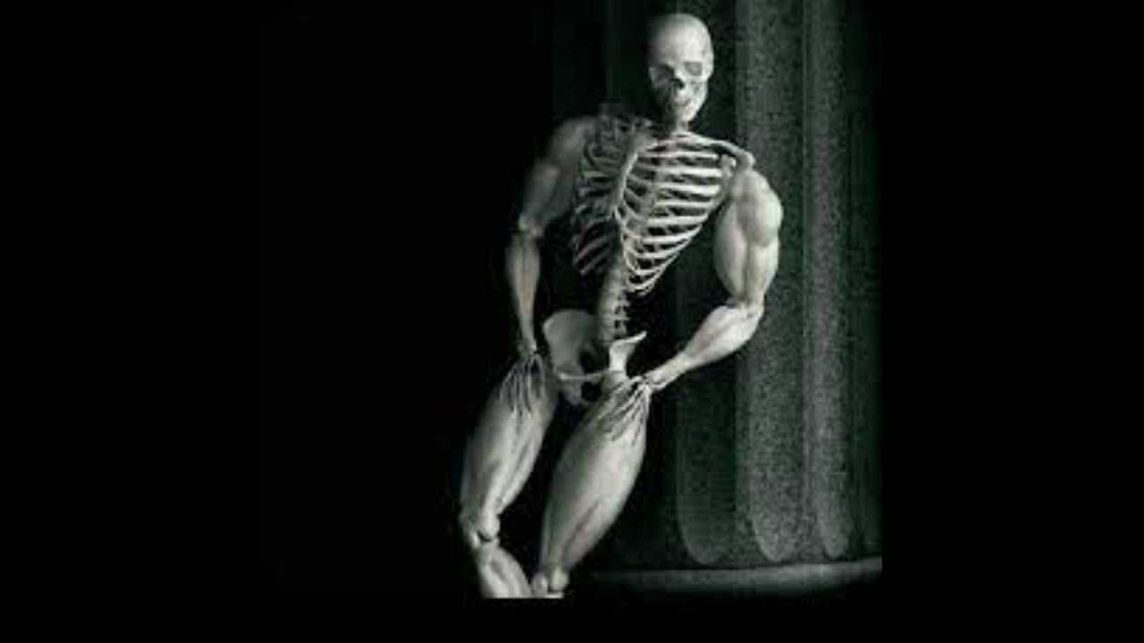 Cursed Skeleton Images with Terraria Dungeon Music