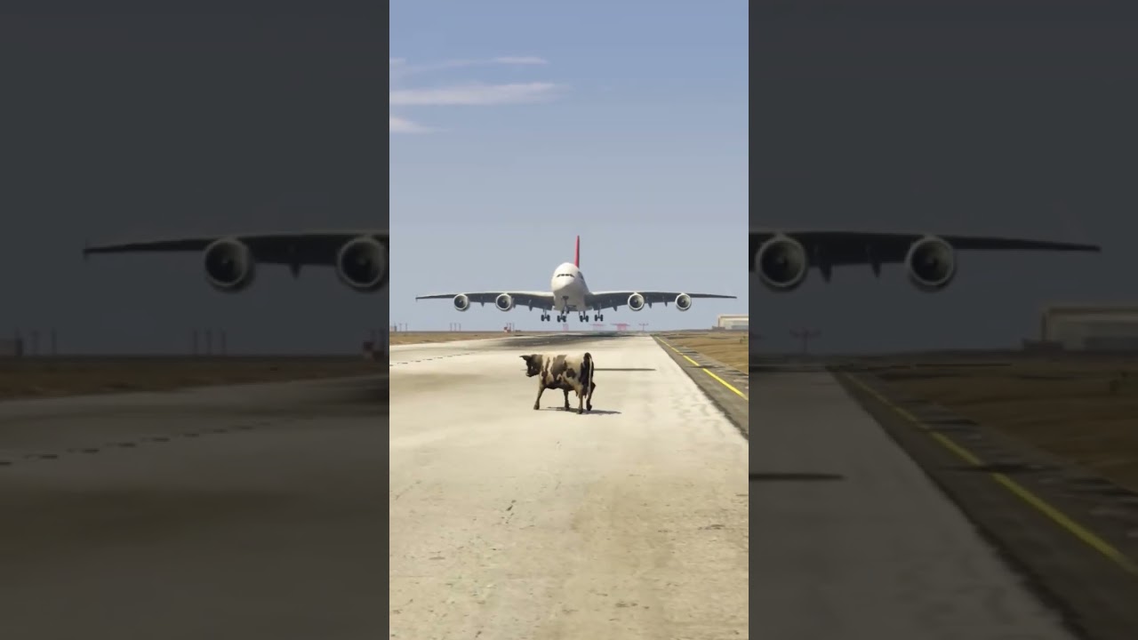 Airbus Makes Incredible Landing as Cow Crosses Active Runway | GTA 5