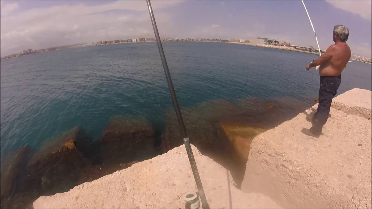 🎣 Surfcasting 2020 🎣 Torrevieja/Cartagena