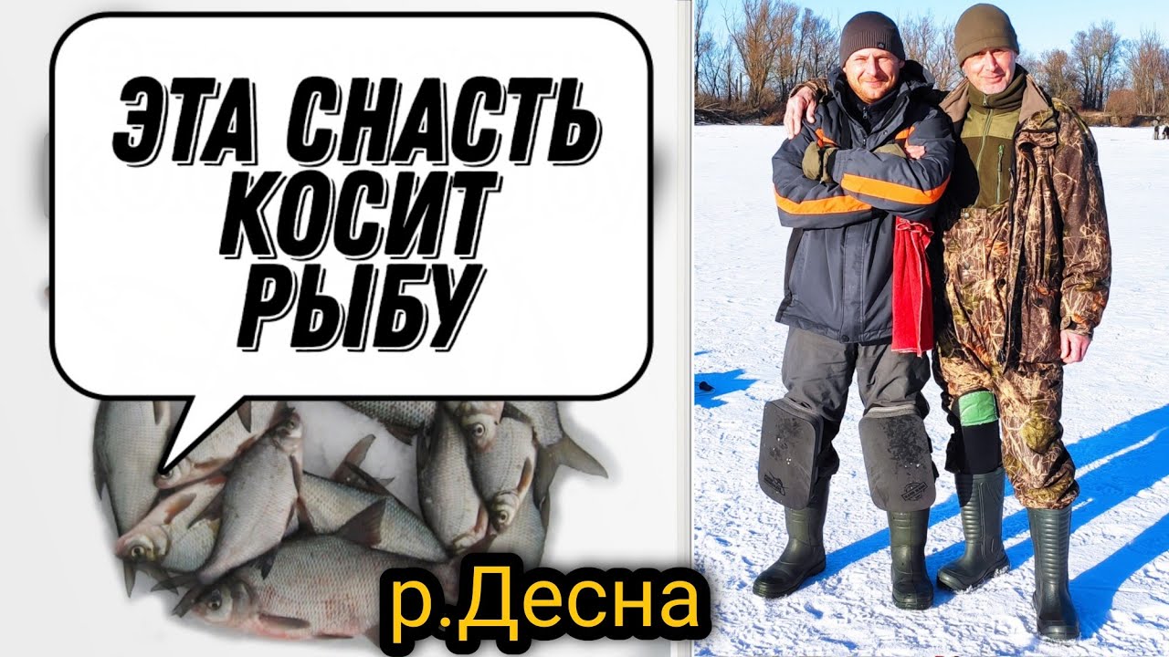 МЕШОК рыбы на двоих. Рыбалка на р. Десна. Как ловить плотву, синец и леща.
