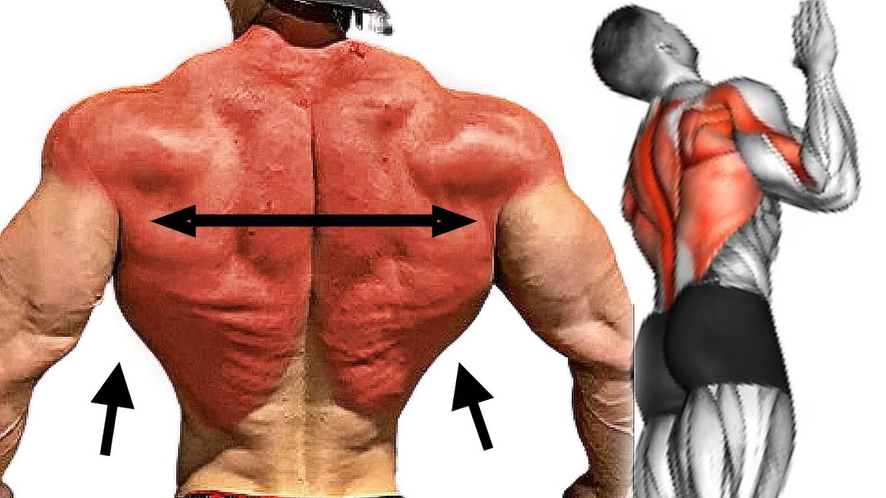 Big Size Gain Workout for Back Development