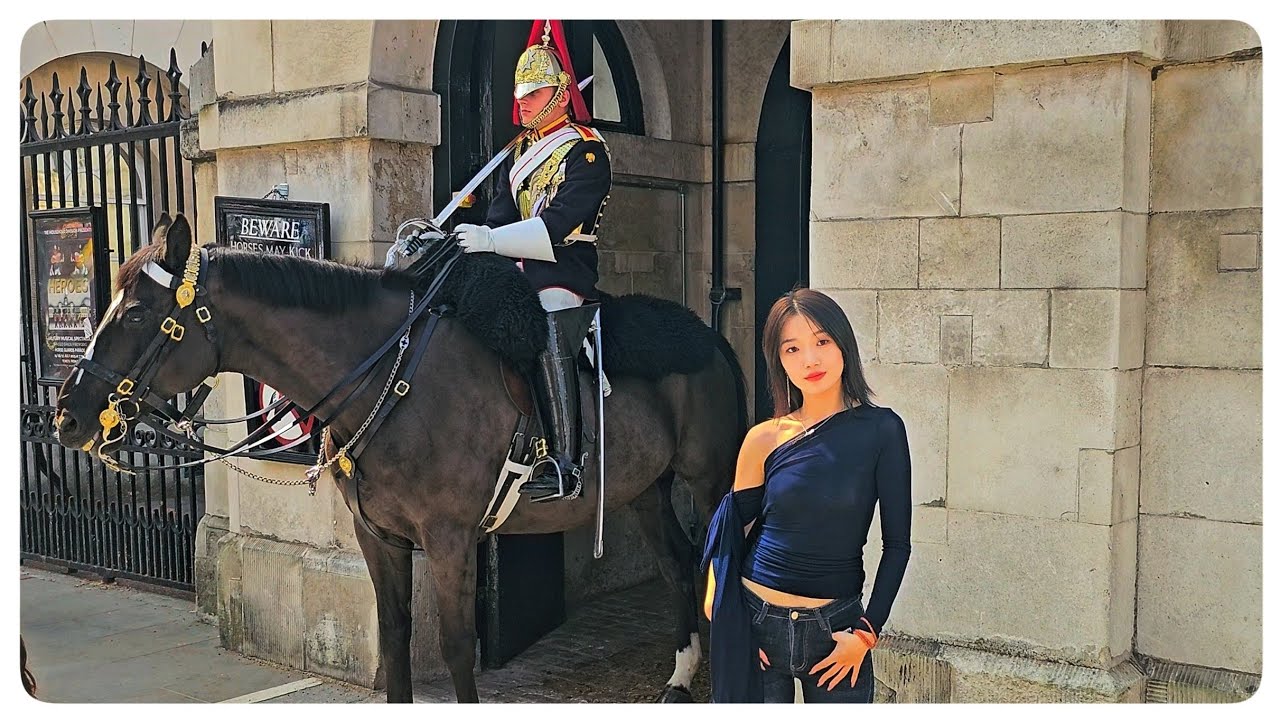 OUTSTANDING Boxmen and Lord Ormonde - Will we see the same this Weekend?