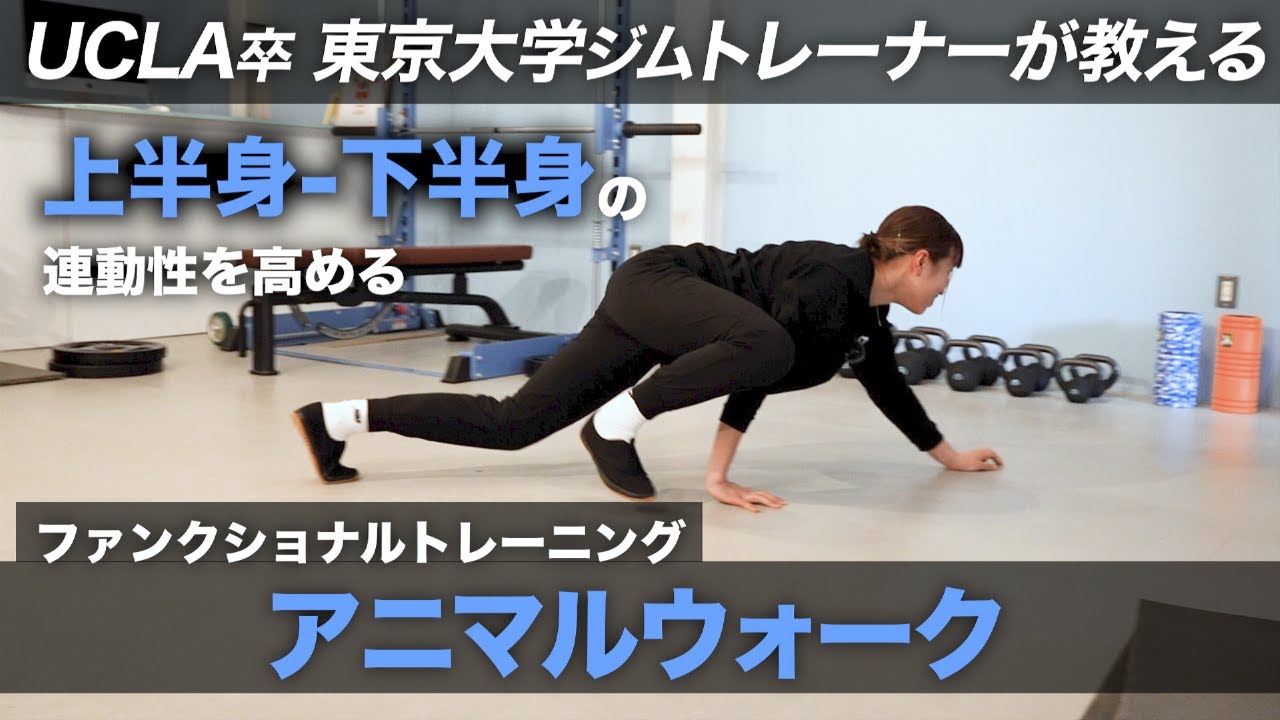 【上半身と下半身の連動性向上】ファンクショナルトレーニング「アニマルウォーク」全ての競技に活かせる！