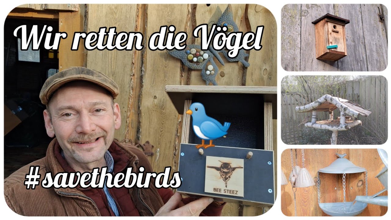 Wir retten die Vögel 🐦 #savethebirds ✌🏻 Was jeder gegen das Vogelsterben tun kann
