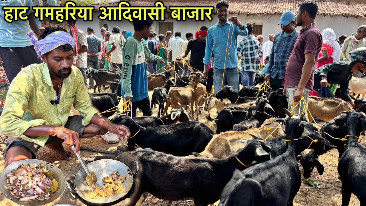 हाट गमहरिया आदिवासी बाजार | Rs50 मे खाए 1 खेजा बकरी मीट | Village Tribal Market | Mutton Recipe