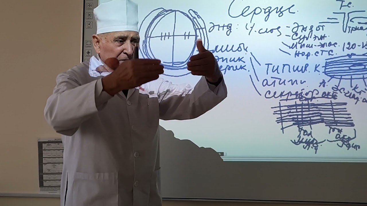 Гистология. ССС. Сердце (2-часть). Садриддинов А.Ф. #tashpmi #ТашПМИ