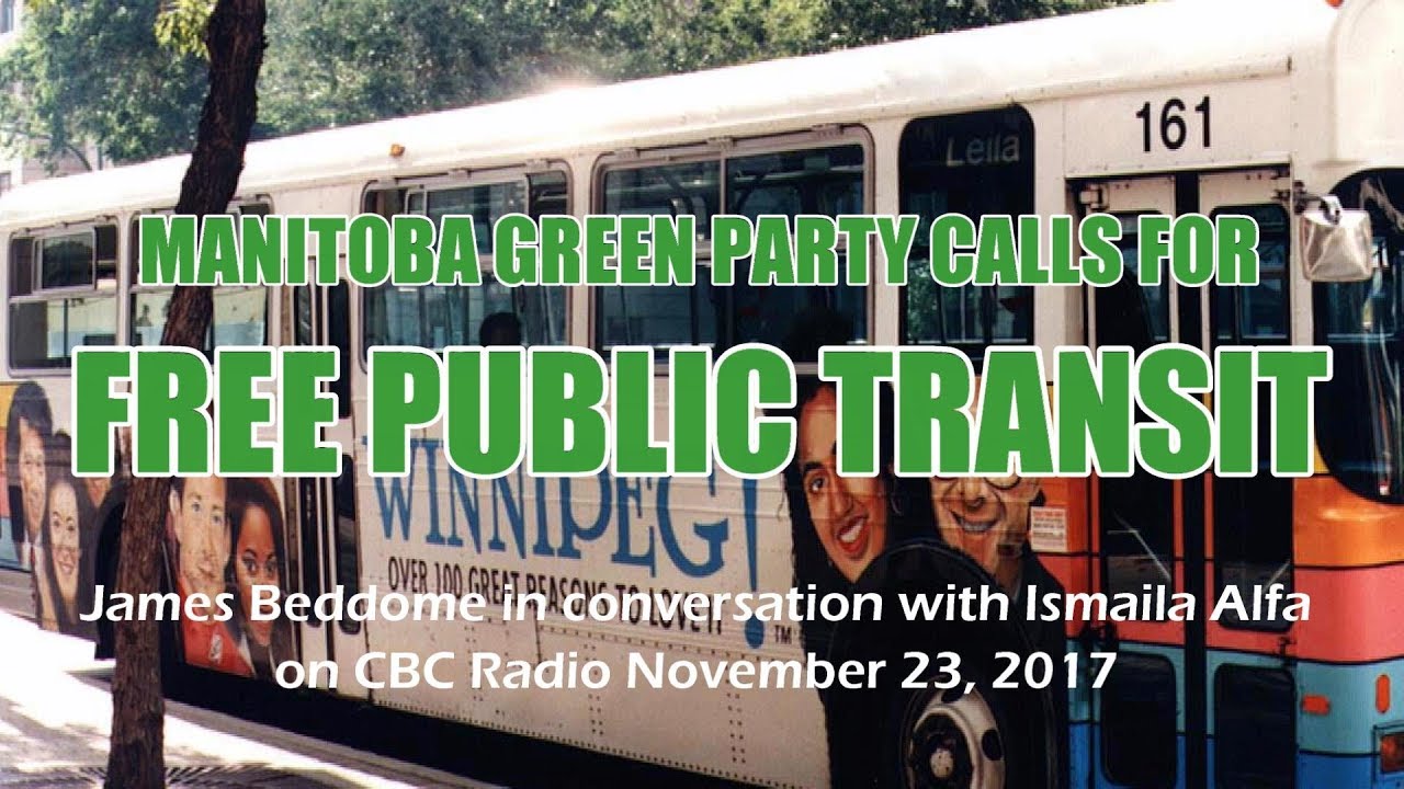 Manitoba Green Party calls for free public transit