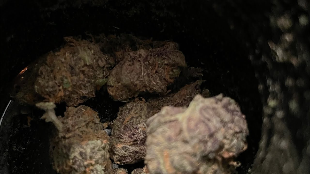 Blue Cookies street weed review