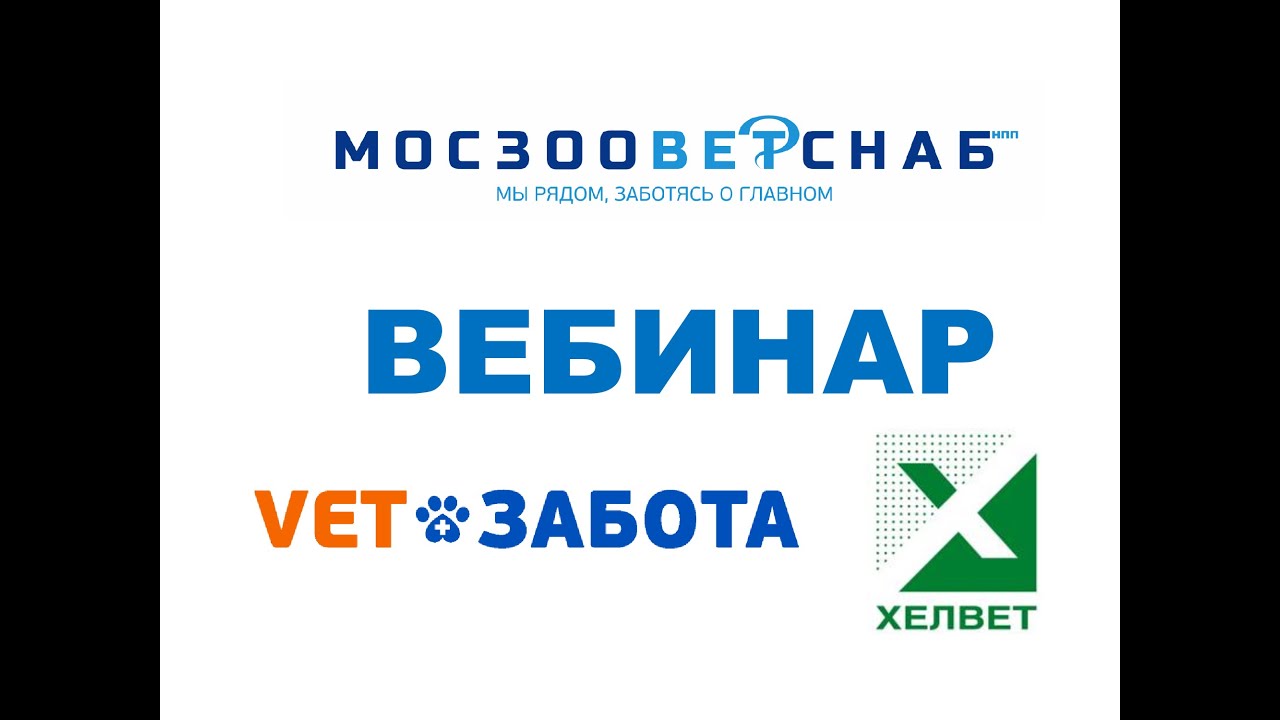 Проблема устойчивой гиперфосфатемии у кошек с хронической болезнью почек