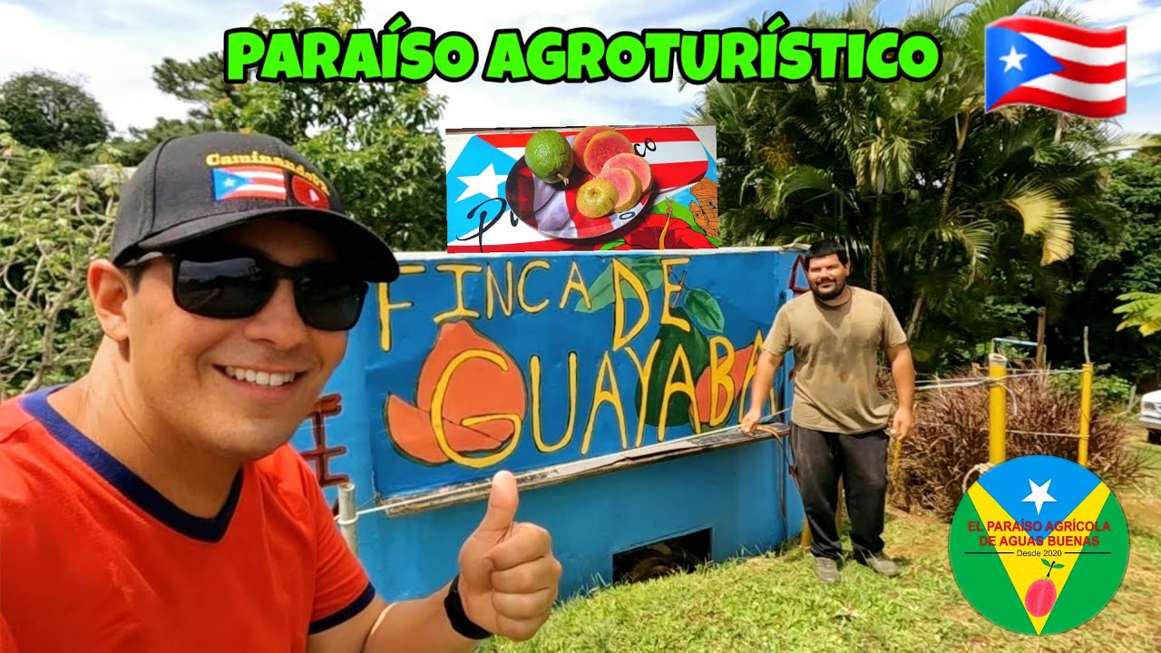 EL PARAÍSO AGRÍCOLA DE AGUAS BUENAS(HERMOSA FINCA DE GUAYABA) 🇵🇷