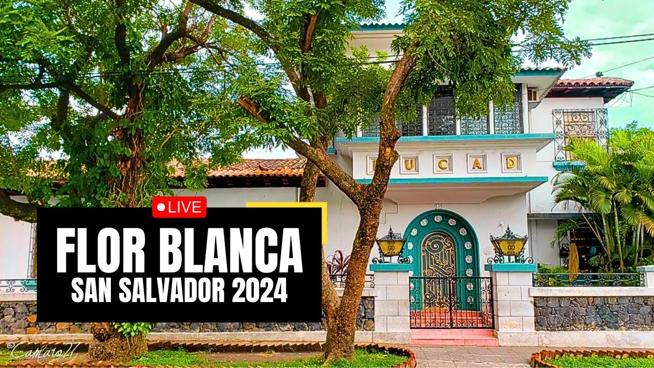Explorando COLONIA FLOR BLANCA de SAN SALVADOR en sus 90 a&ntilde;os - EL SALVADOR