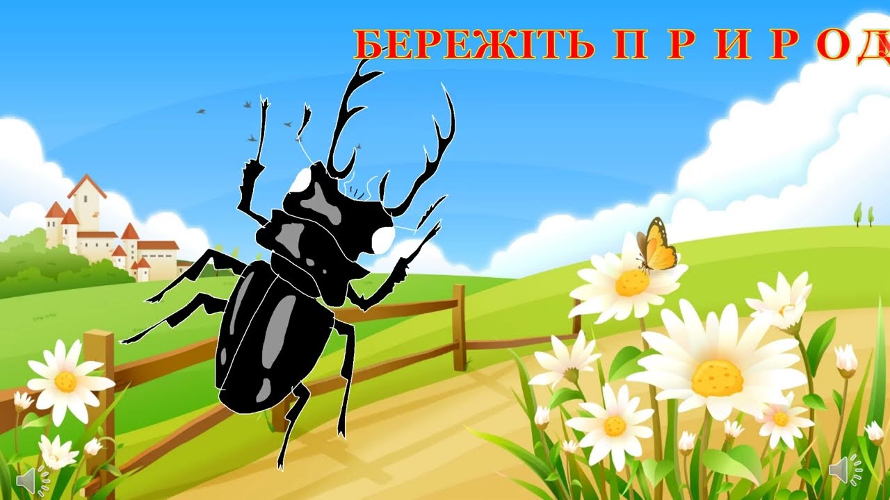 Чорний жук. Вивчення вірша В.Лучук. Ючинська Марія