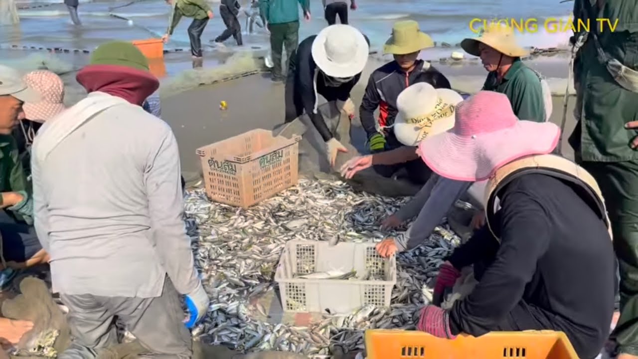 Làng nghề lái sáu xã Cương Gián Nghi Xuân Hà Tĩnh ( lái sáu thôn Ngư Tịnh )