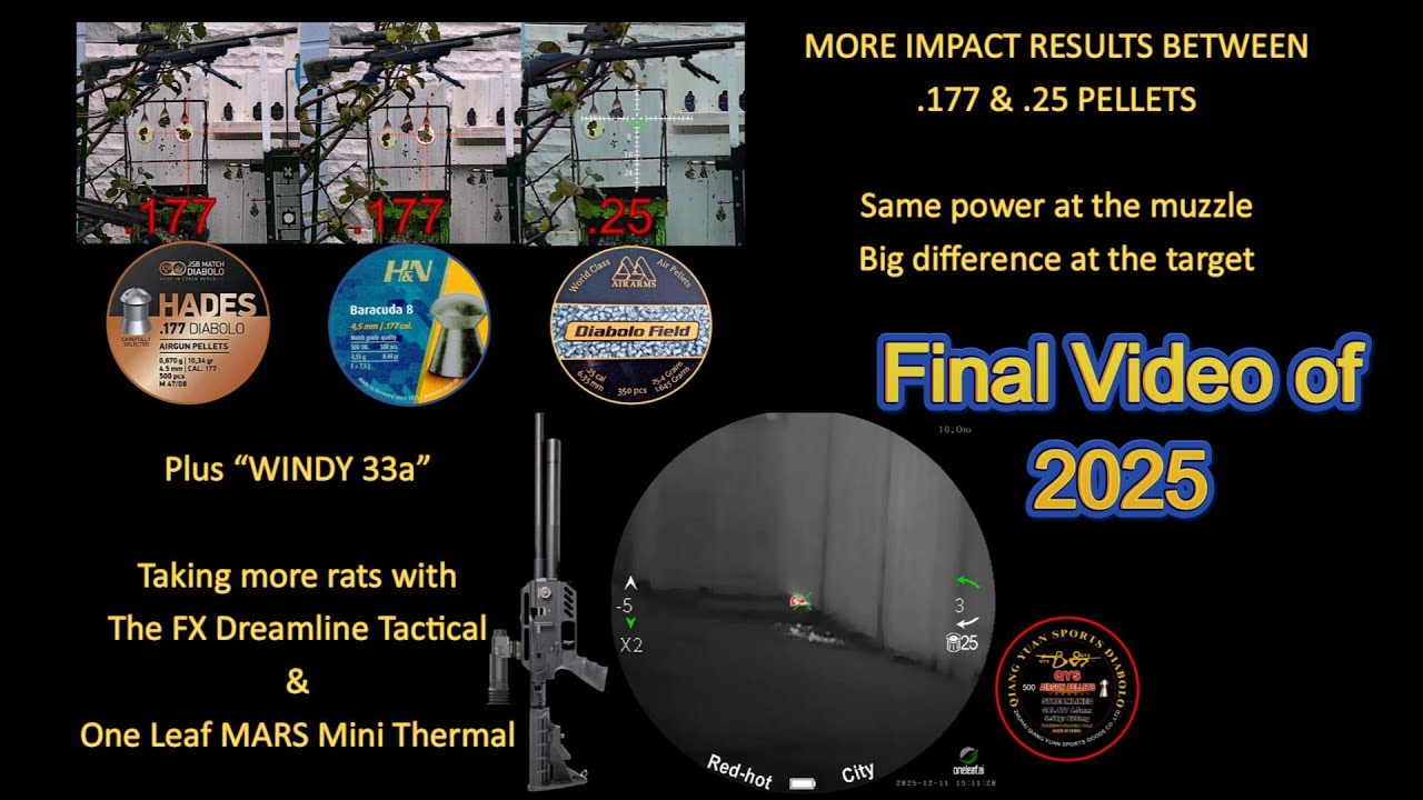 Caliber Showdown!   .177 vs  .25   Muzzle Power and Target Impact  Revealed Best for Rat Shoot.