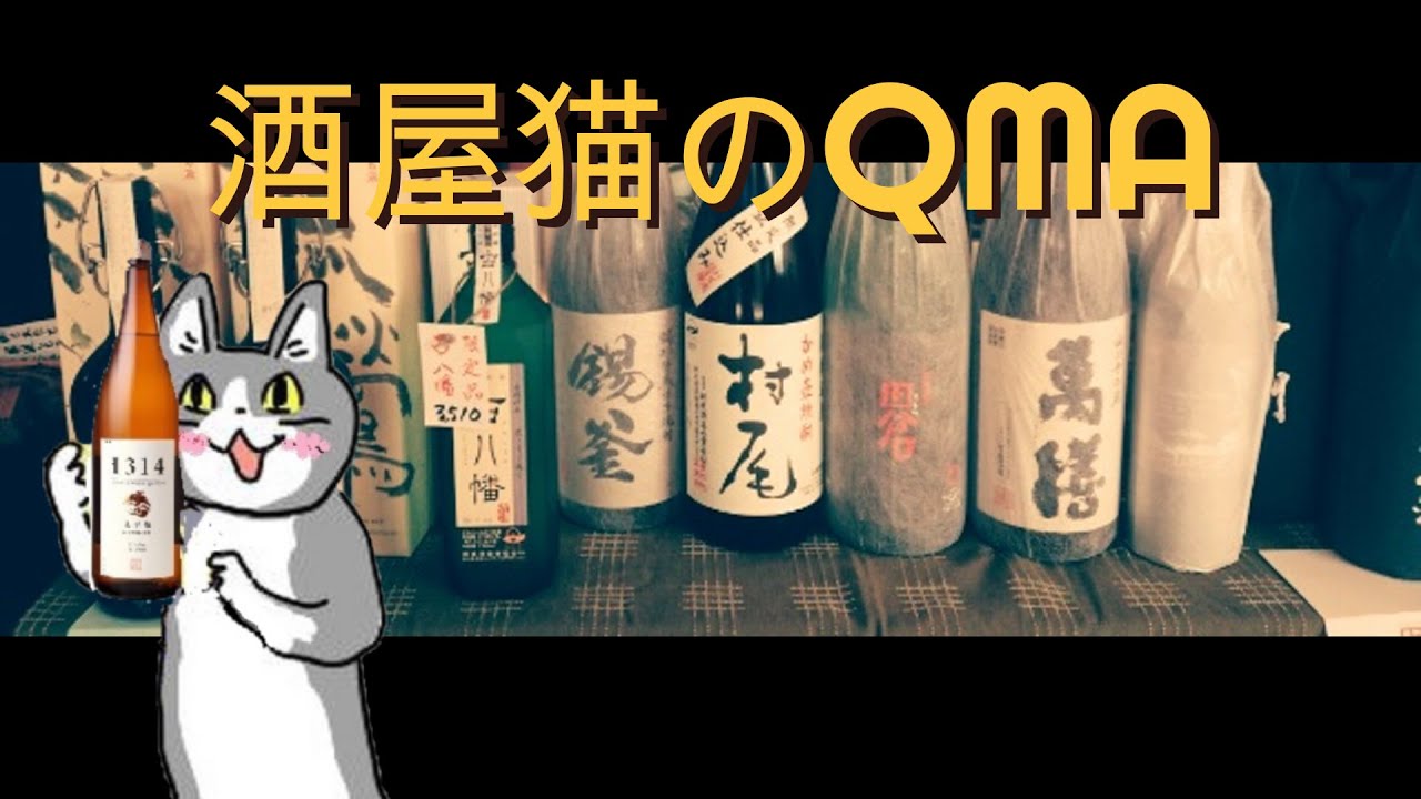 酒屋猫のQMA ヴ&hellip;ヴァ二ィちゃん&hellip;トナメ激しくしないで