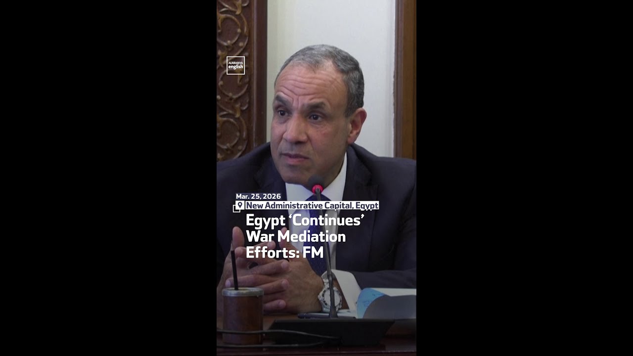 Egypt &lsquo;Continues&rsquo; War Mediation Efforts: FM