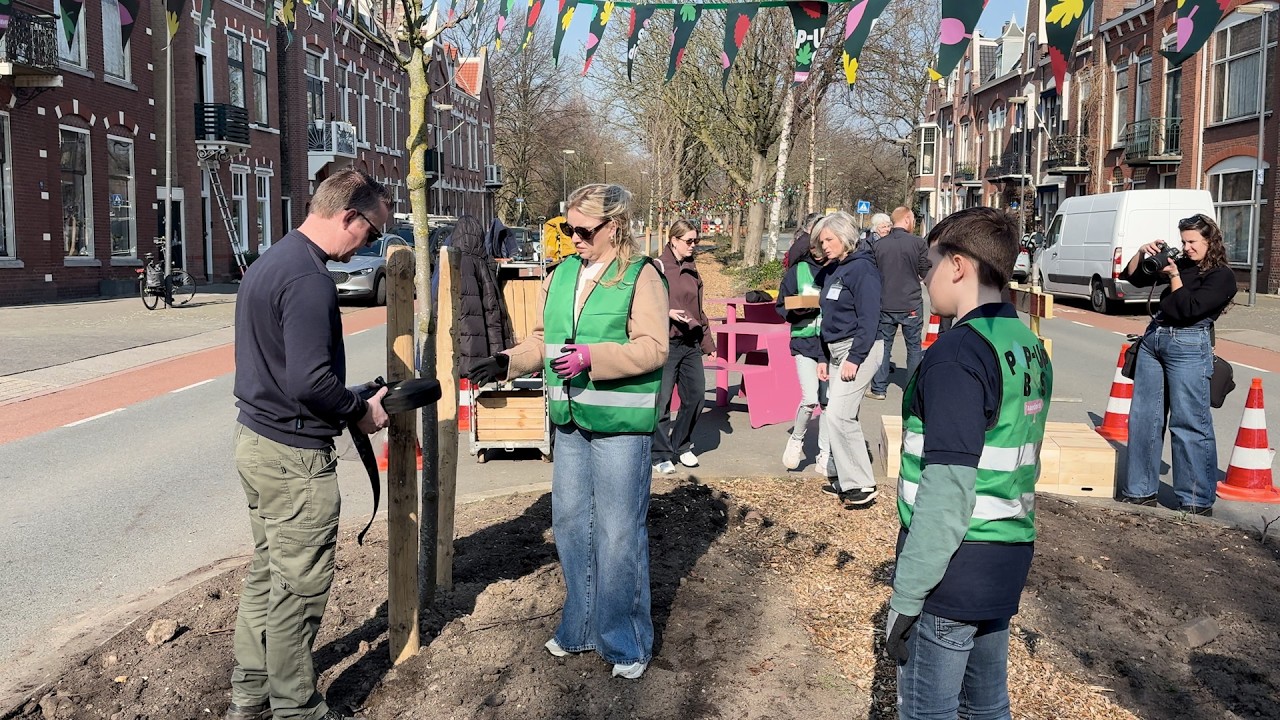 De bomen van het pop-upbos zijn geplant aan de Binnensingel in Vlaardingen