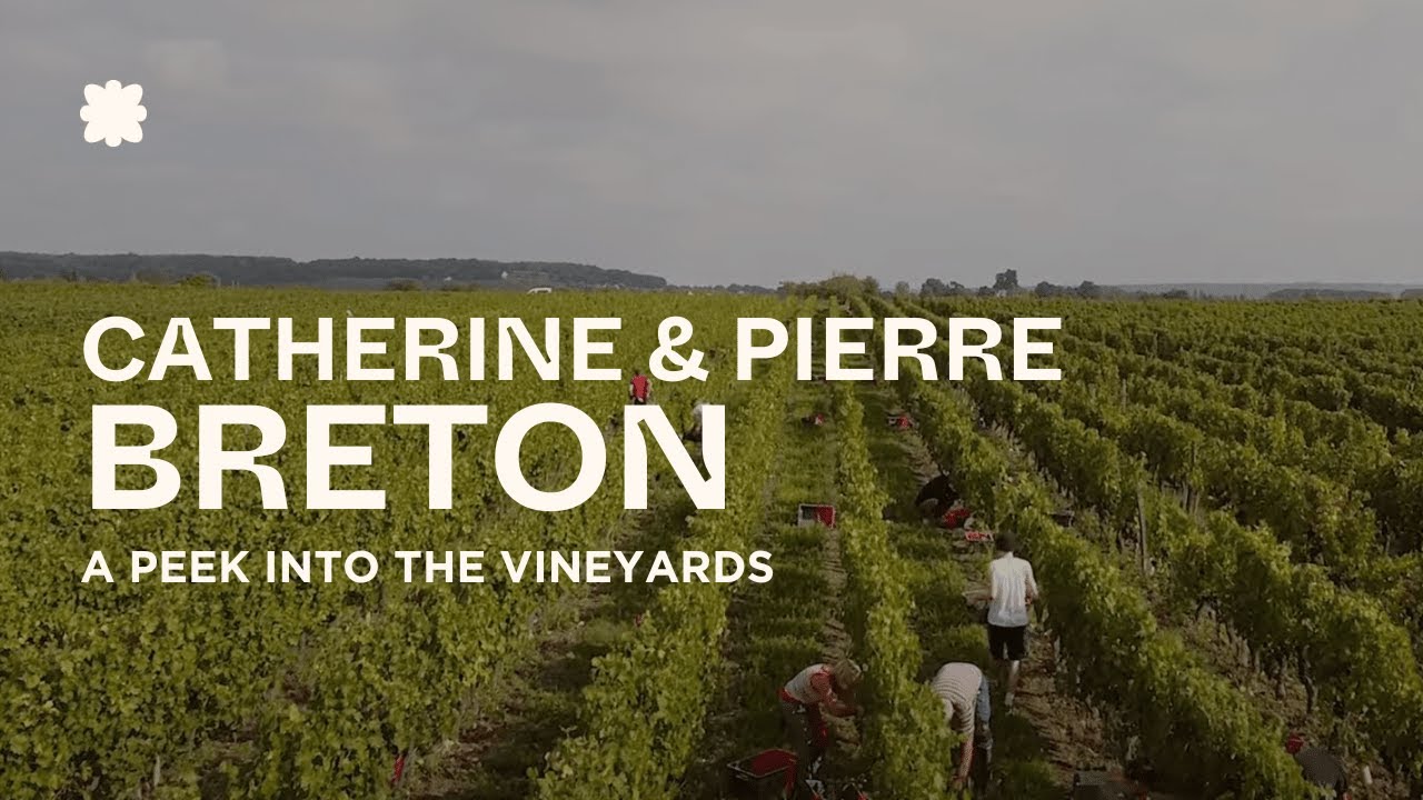 Catherine & Pierre Breton Vineyards | Bourgueil, Loire 🇫🇷