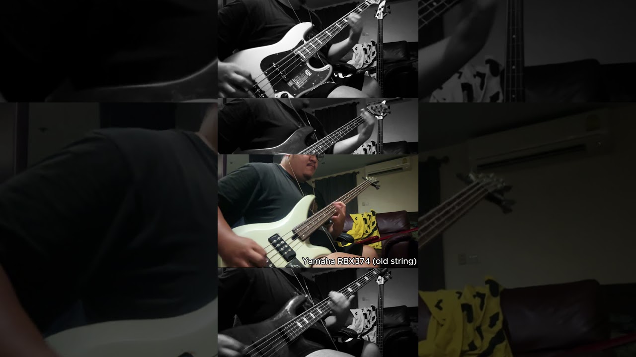 Fender Jazz vs Stingray vs Yamaha RBX vs Spector
