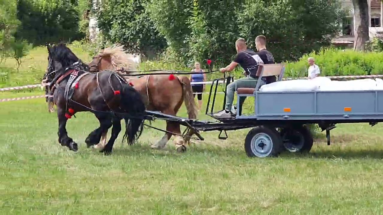 furmanské preteky,