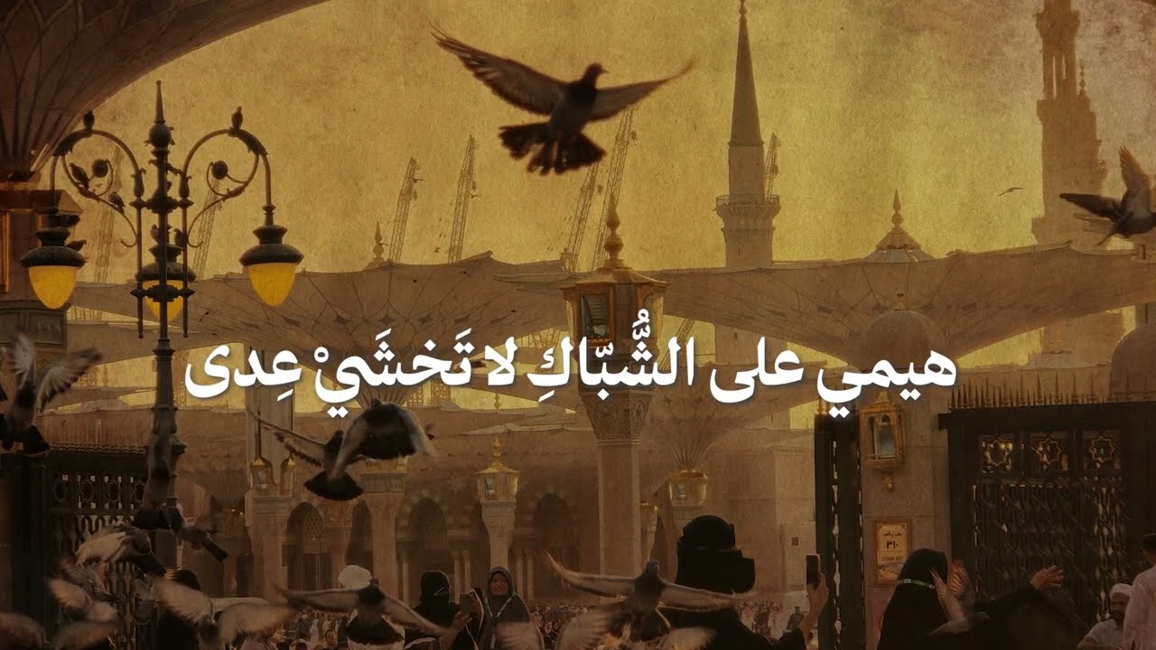 ذكرى المولد النبوي الشريف 1447 ……….نور الهداية 