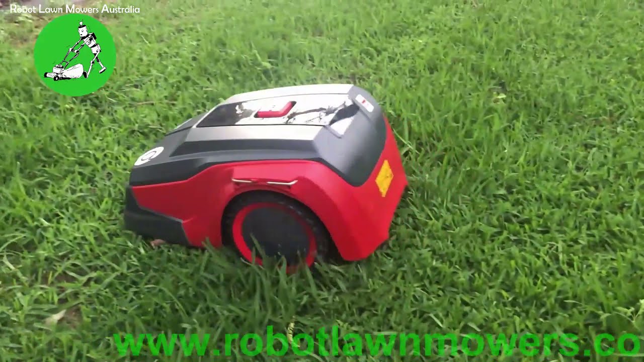 Robot Lawn Mowers Australia - Masport Robolinho 700E Review