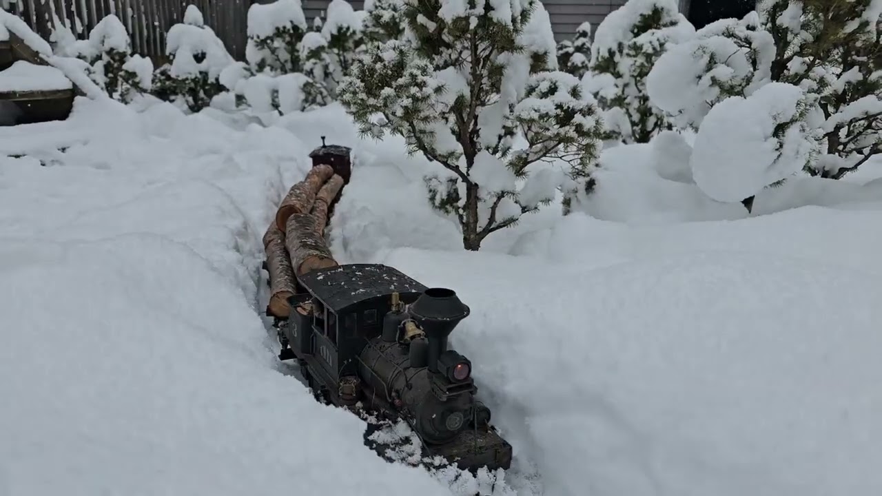 Logging in the snow. Hartland Big John. 