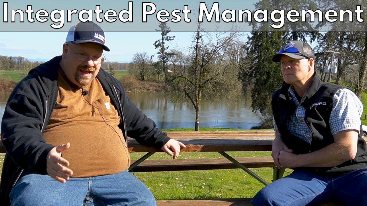 Integrated Pest Management: Farming vs Indoor Cannabis