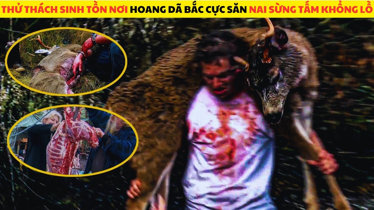Thử Thách Sinh Tồn 100 Ngày Nơi Hoang Dã Bắc Cực Săn Nai Sừng Tấm Khổng Lồ Full Mùa