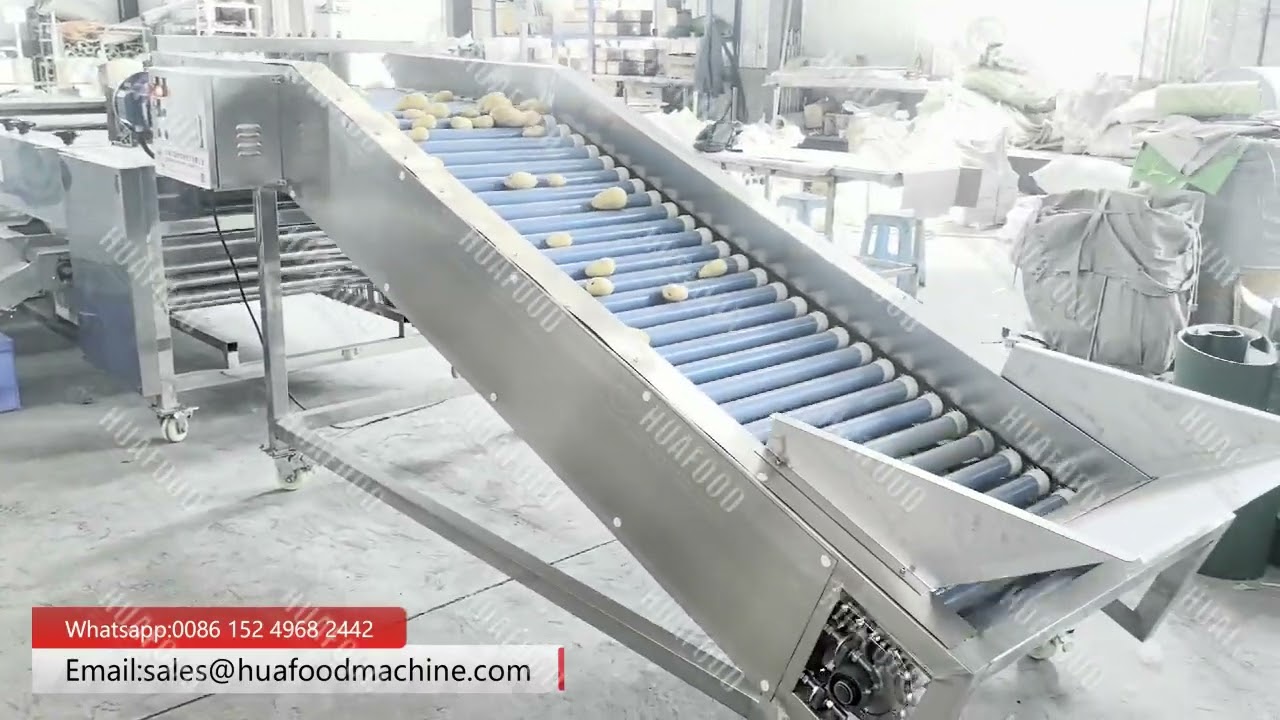 High Precision Mango Grading Soring Machine