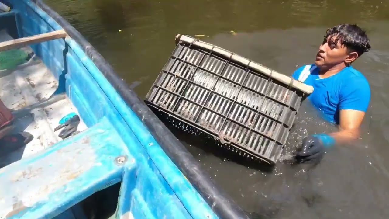 ¿CÓMO SE SACAN MEJILLONES DEL MAR EN EL SALVADOR, PUERTO DE LA UNIÓN?