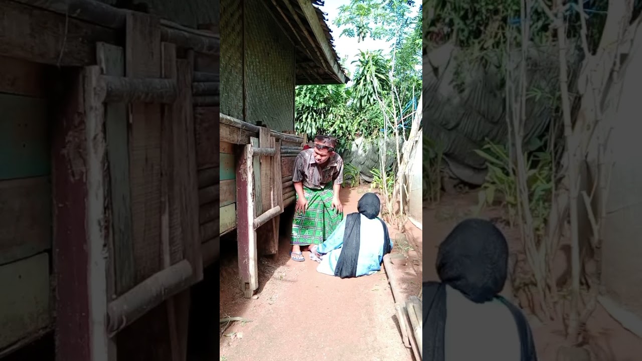 MITOHA VS MINANTU mitoha malang ayam nya ilang #drama