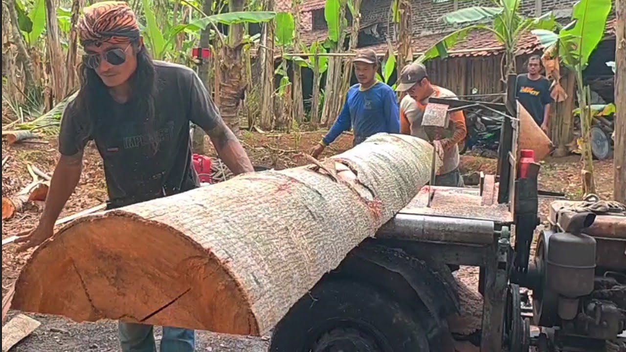 Wow ‼️ Empuk SEPERTI KERUPUK - Gergaji mesin serkel rakitan