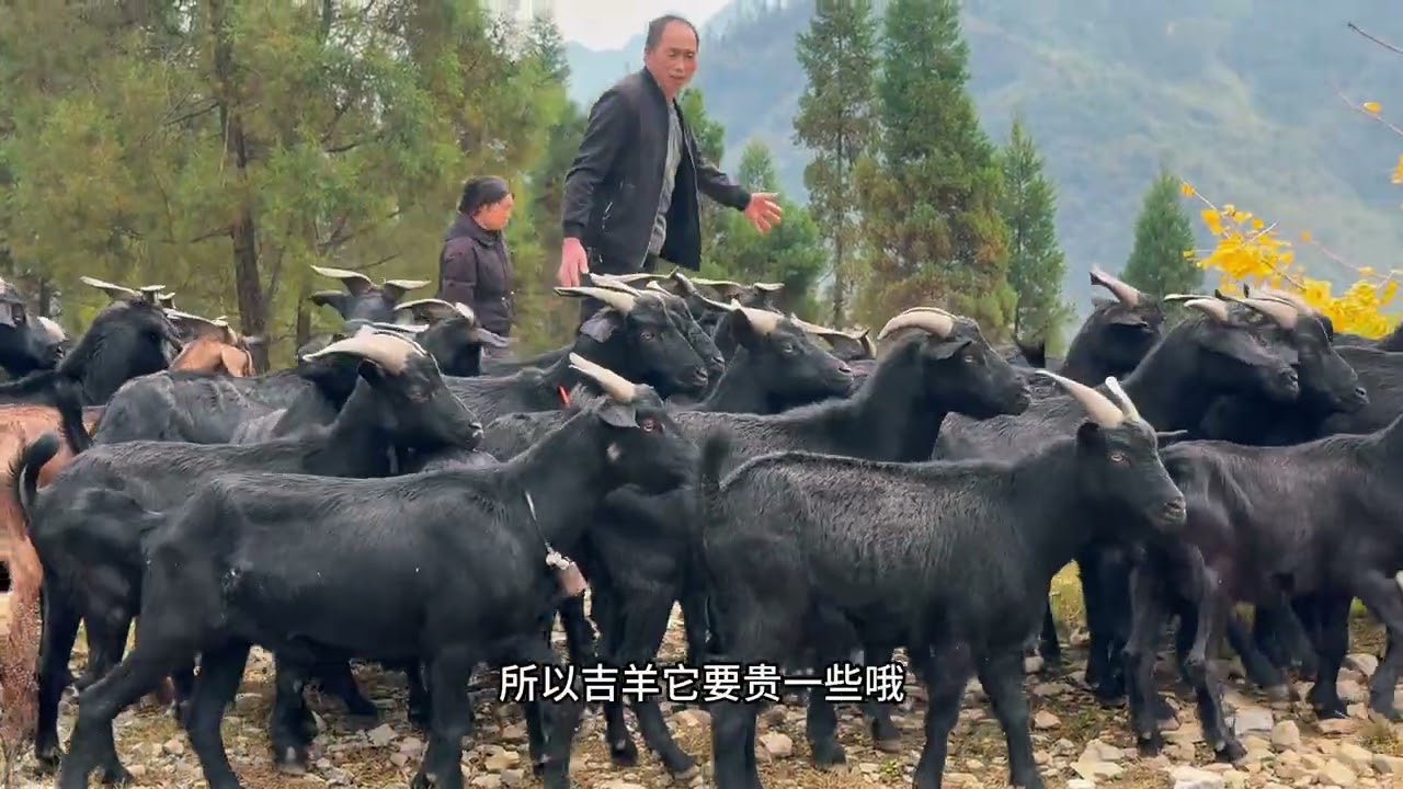 浙江远嫁贵州，女儿想给娘家寄东西，老公拦着不让，结果暖心！ #我的乡村生活
