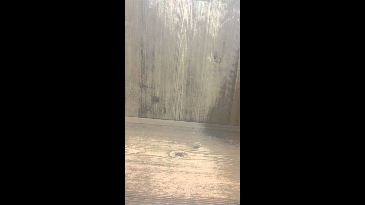 어쮸다른말로X추