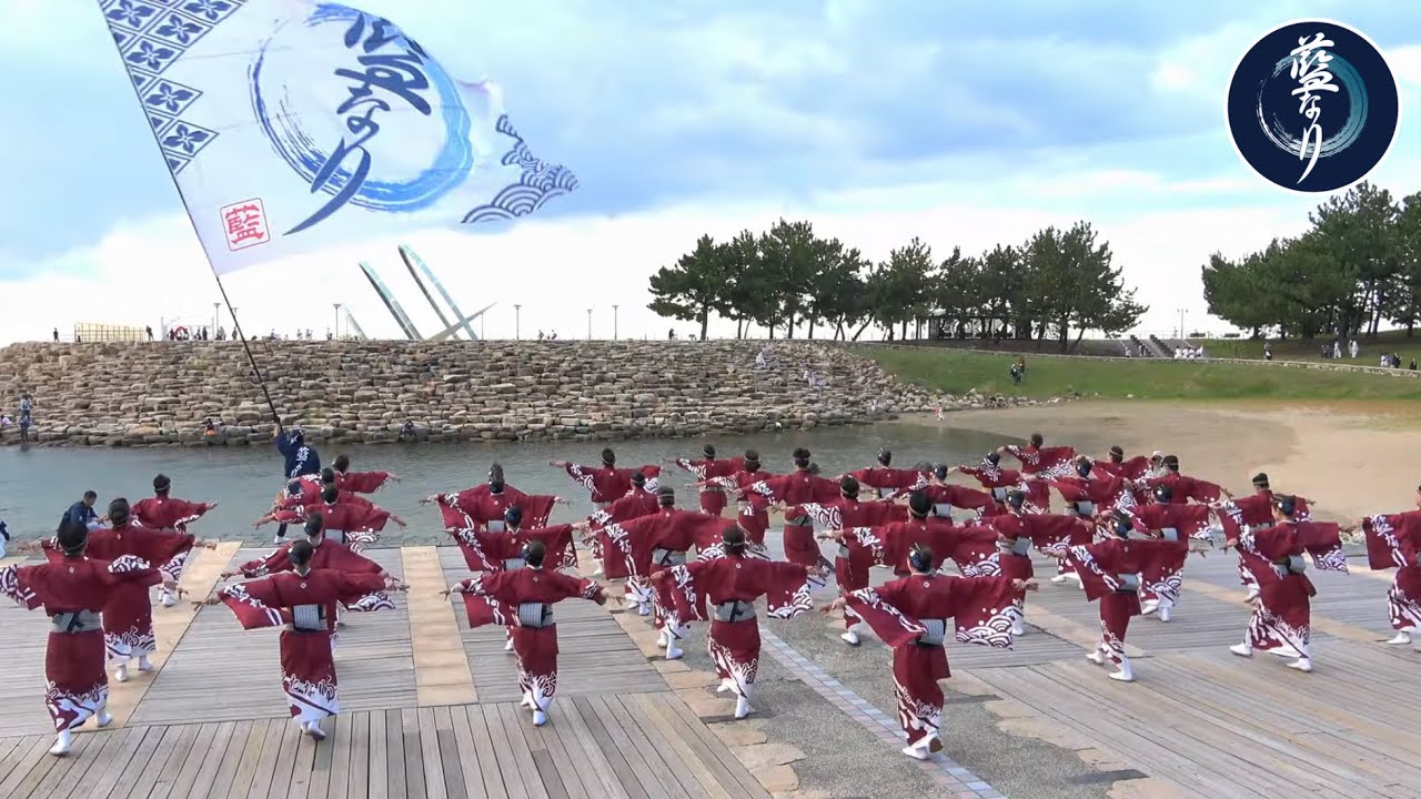 藍なり 泉州YOSAKOIゑぇじゃないか祭り 2023/10/15 石舞台会場【鳴動～あらたな時～】