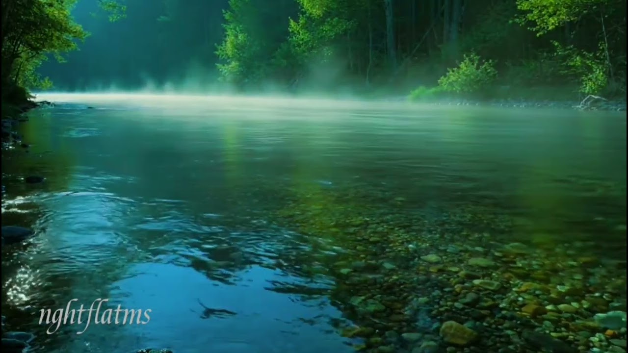 ASMR Misty Forest River y Cool Flowing Water Sounds for Sleep & Relaxation