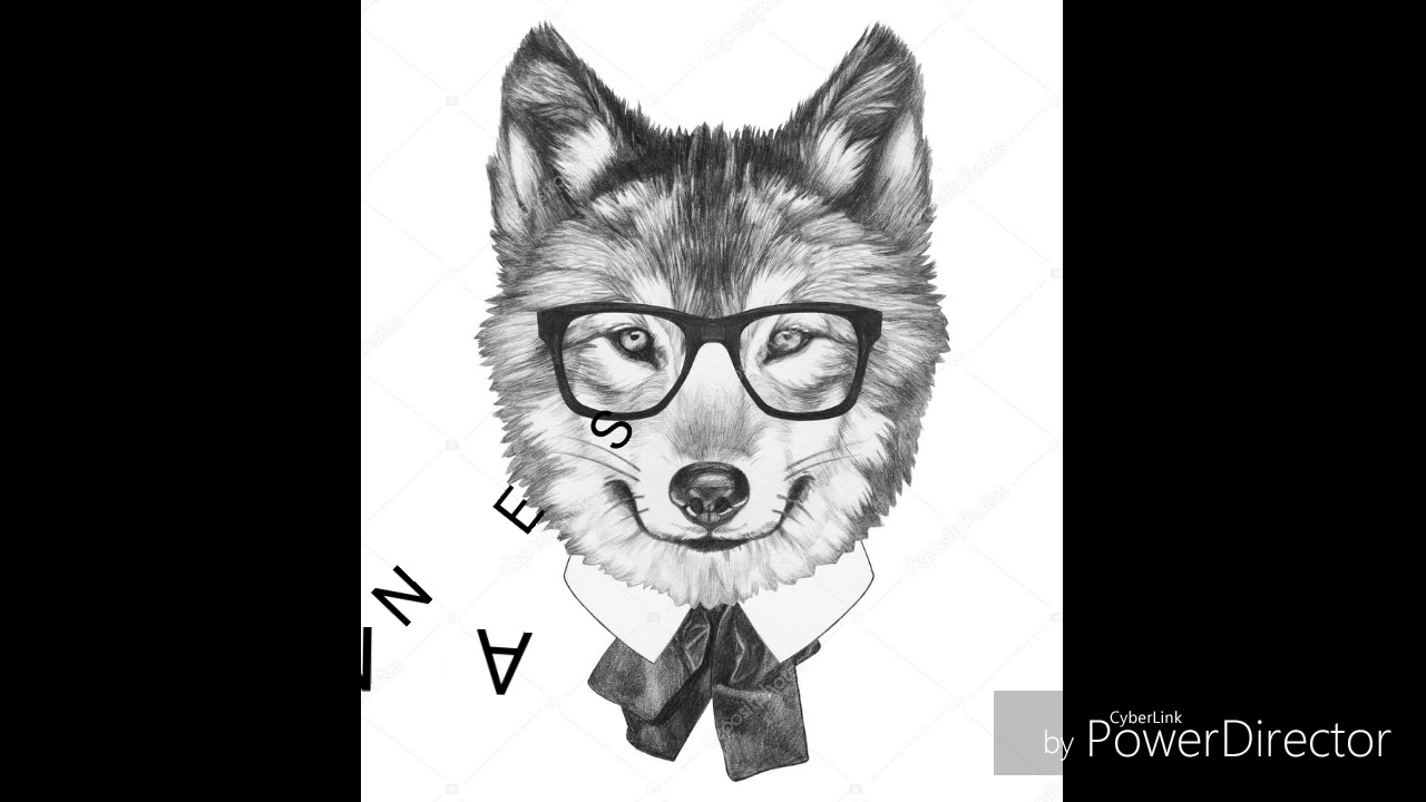 FNAF NG